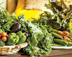 organicos.xxx_.jpg
